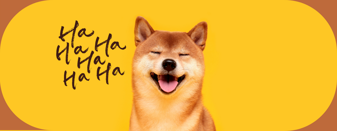 est ce que le chien rit ?