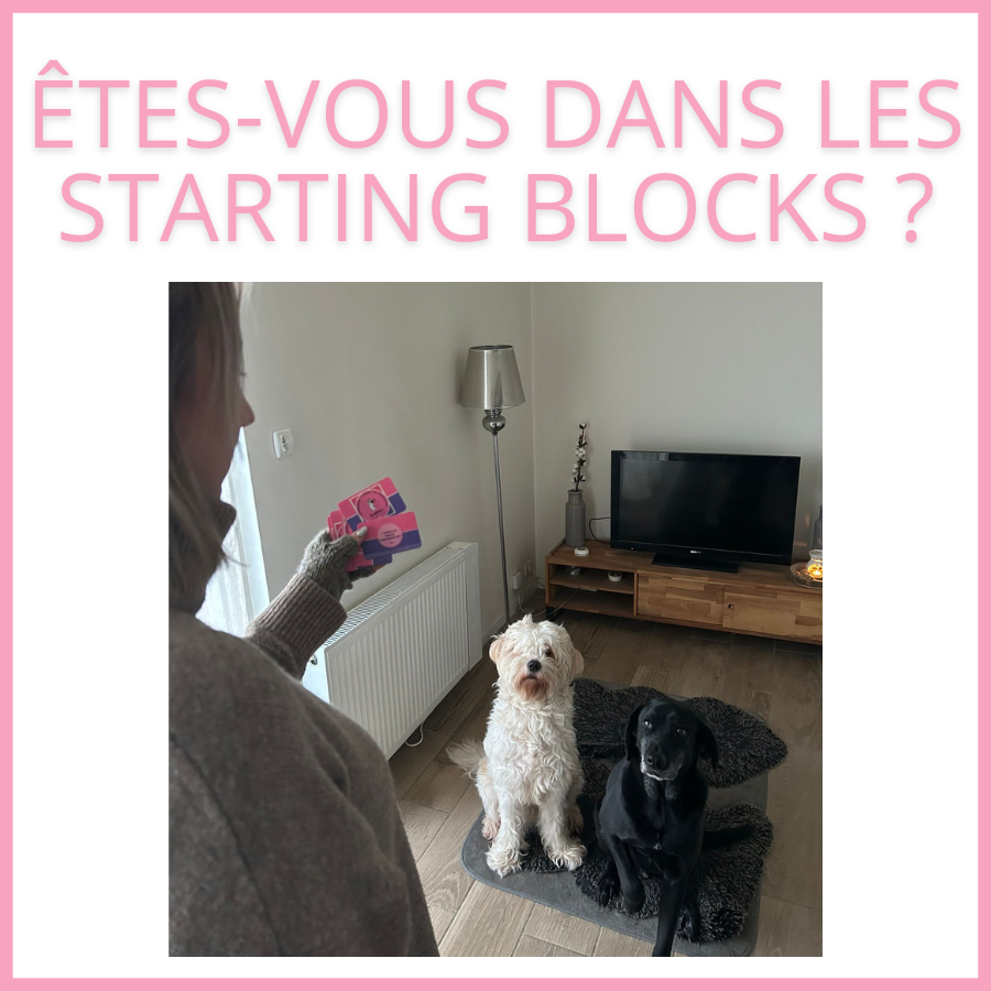 Doublez le plaisir avec votre chien : 2 ebooks Canal Toutou + Les Zoubidous à un prix irrésistible !