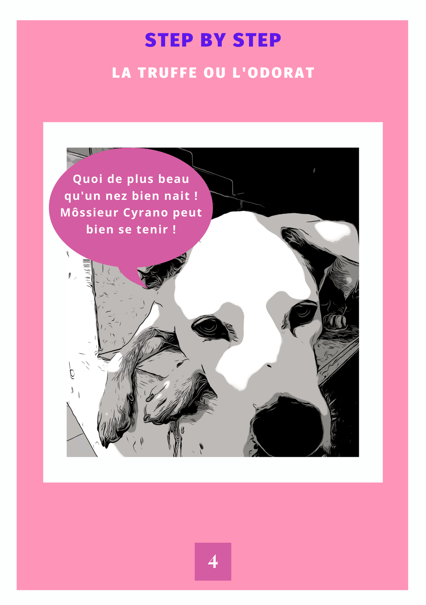 Doublez le plaisir avec votre chien : 2 ebooks Canal Toutou + Les Zoubidous à un prix irrésistible !