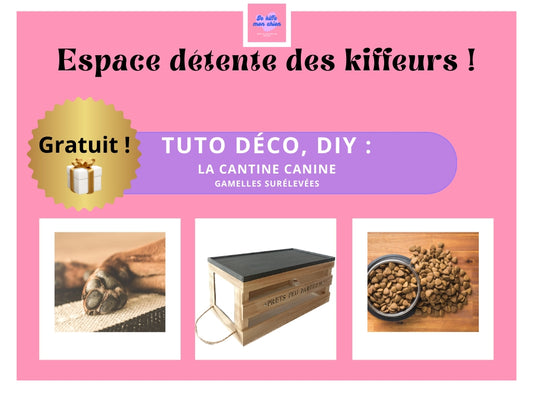 Tuto Déco DIY GRATUIT: gamelles surélevées pour le bonheur de vos chiens !