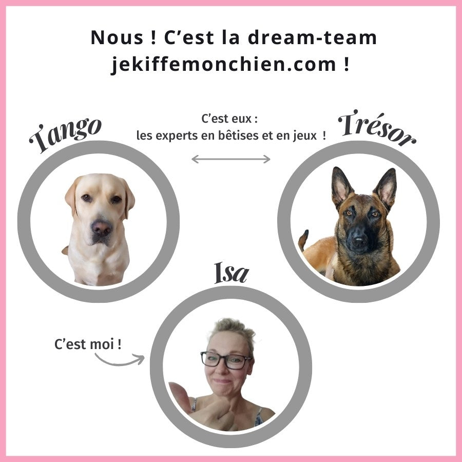 la dream team je kiffe mon chien